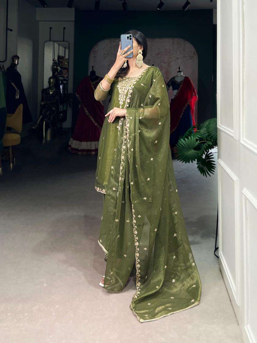 nnk3033-gold-coin-gorgeous-look-readymade-salwar-kameez-2-2025-05-17_16_47_28